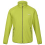 Herren-Sweatshirt Regatta Highton Lite II grün Green Algae