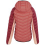 Damen-Winterjacke Regatta Women Hooded Dalent