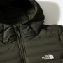Damen Daunenjacke The North Face W Stretch Down Parka