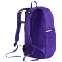 Schulrucksack für Oberstufe The North Face Y Court Jester