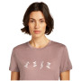 Damen-T-Shirt Icebreaker Women Merino 150 Tech Lite SS Tee Snow Day