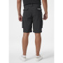 Herrenshorts Helly Hansen Move Qd Shorts