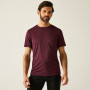 Herren-T-Shirt Regatta Fingal Edition