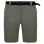 Herrenshorts Dare 2b Tuned In ProShort grün Agave Green