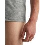 Herren-T-Shirt Icebreaker M Anatomica SS Crewe