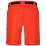 Herrenshorts Dare 2b Tuned In ProShort