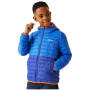 Kinderjacke Regatta Jnr Hood Hillpack II