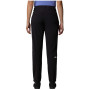 Damen- Funktionshose The North Face Speedlight Regular Pant
