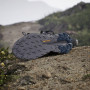 Wanderschuhe Adidas Terrex Trailmaker 2 Gtx Sl