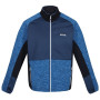 Herren-Sweatshirt Regatta Coladane IV blau Skydvr/Admrl