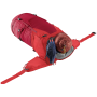 Rucksack Deuter Futura 32