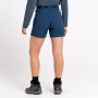 Damenshorts Dare 2b Melodic Pro Short
