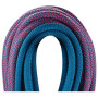 Kletterseil Edelrid Tommy Caldwell Eco Dry CT 9,3mm 60m