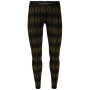 Damenunterhose Icebreaker W's 250 Vertex Leggings