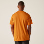Herren-T-Shirt Regatta Fingal Stretch