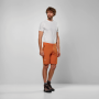 Herrenshorts Salewa Puez Talveno Dst Shorts M