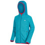 Kinder-Sweatshirt Regatta Dissolver II