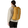 Rucksack Patagonia Black Hole Pack 25L