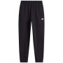 Herren-Jogginghose The North Face M Evolution Simple Dome Regular Jogger schwarz TNF BLACK