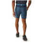 Herrenshorts Regatta Mountain ShortsII M