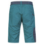 Herrenshorts Rafiki Crux