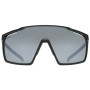 Brille Uvex MTN PERFORM