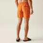 Herrenshorts Regatta Mackleyna Swim Short