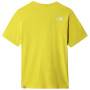 Herren-T-Shirt The North Face S/S Rust 2 Tee 2022