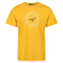 Herren-T-Shirt Regatta Cline VI gelb Yellow Gold