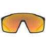 Brille Uvex MTN PERFORM