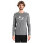 Herren-T-Shirt Icebreaker 200 Oasis LS Crewe Last Run