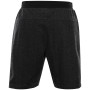Herrenshorts Alpine Pro Thec