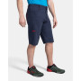 Herrenshorts Kilpi Alles