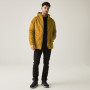 Herrenjacke Regatta Salinger III