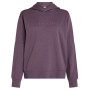 Damen Funktions-Sweatshirt Icebreaker W Mer 360 RealFleece Elemental LS Hood lila Grey Plum