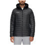 Herrenjacke Mammut Albula IN Hooded Jacket Men 2021