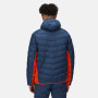 Herren-Winterjacke Regatta Harrock