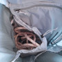 Wanderrucksack Blue Ice Kume 40l