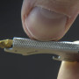 Universalschlüssel True Utility Keytool TU 247