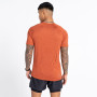 Herren-T-Shirt Dare 2b Persist Tee