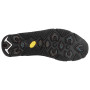 Herrenschuhe Salewa Ms Mtn Trainer 2 Winter Gtx
