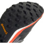 Herrenschuhe Adidas Terrex Agravic XT GORE-TEX