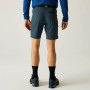 Herrenshorts Regatta Xert Stretch Shorts