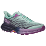 Damenschuhe Hoka W Speedgoat 5 blau/hellblau Sunlit Ocean / Night Sky