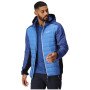 Herrenjacke Regatta Trutton II