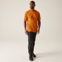 Herren-T-Shirt Regatta Fingal Stretch