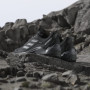 Damenschuhe Adidas Terrex Eastrail Gtx