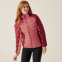 Damen-Winterjacke Regatta Women Hooded Dalent