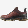 Wanderschuhe Salomon X Ultra 4 Gtx