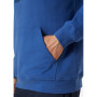 Herren-Sweatshirt Helly Hansen Hh Logo Hoodie